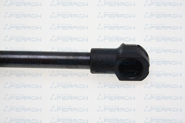 Gas Spring, boot/cargo area