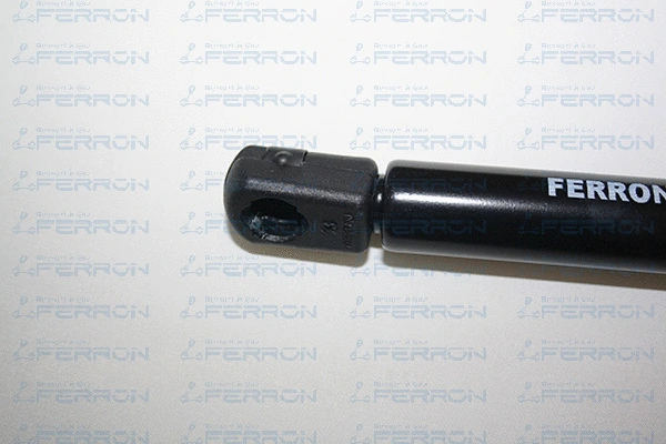 Gas Spring, boot/cargo area
