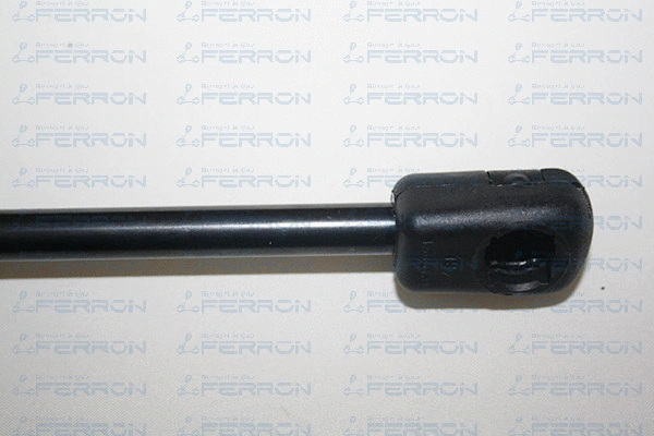 Gas Spring, boot/cargo area