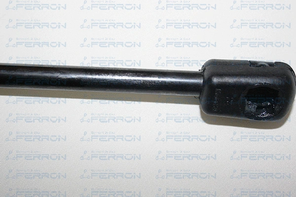 Gas Spring, boot/cargo area