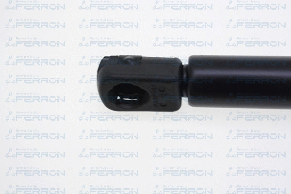 Gas Spring, boot/cargo area