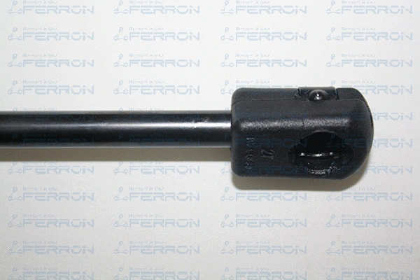 Gas Spring, boot/cargo area