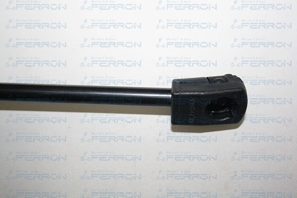 Gas Spring, boot/cargo area