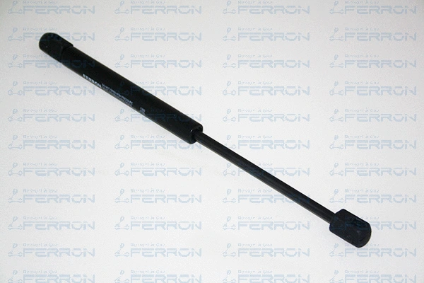 Gas Spring, boot/cargo area