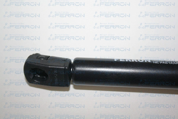 Gas Spring, boot/cargo area
