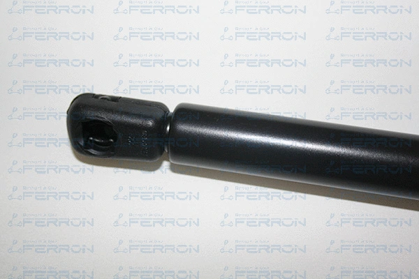 Gas Spring, boot/cargo area