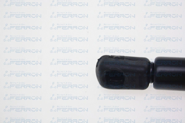 Gas Spring, bonnet