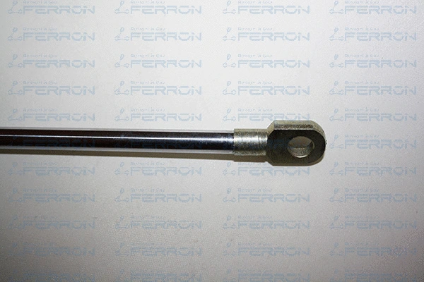 Gas Spring, boot/cargo area