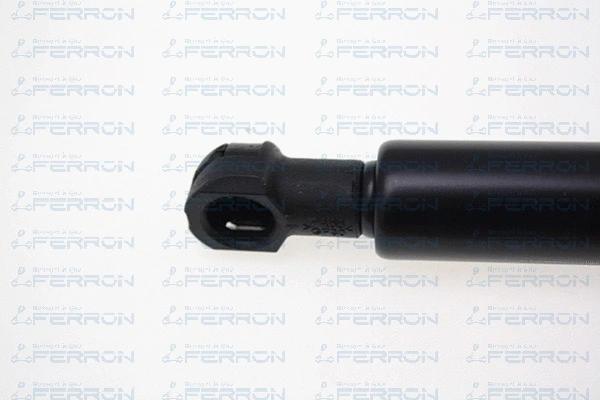 Gas Spring, bonnet
