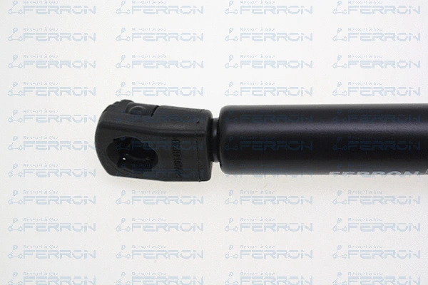 Gas Spring, boot/cargo area