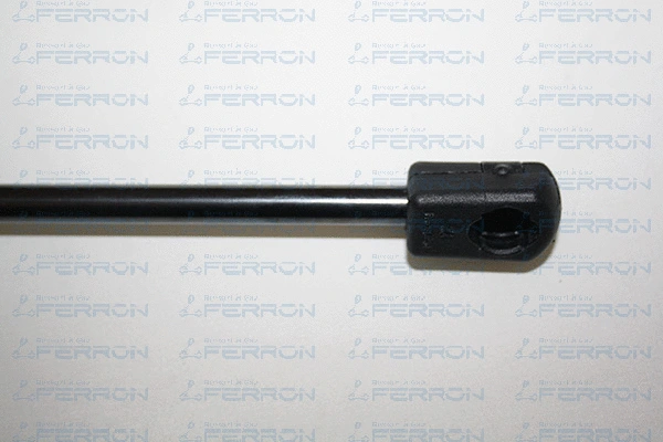Gas Spring, boot/cargo area