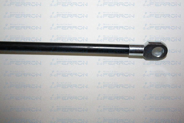 Gas Spring, boot/cargo area