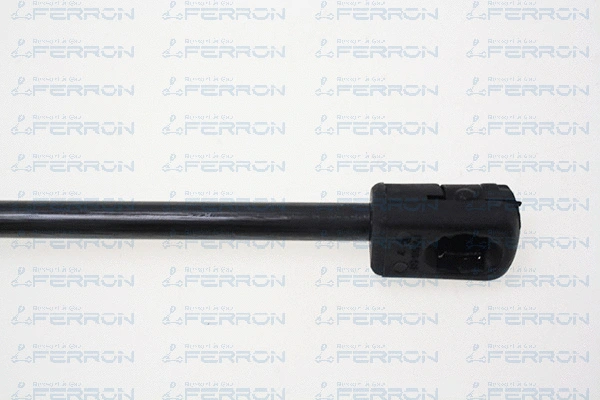 Gas Spring, bonnet