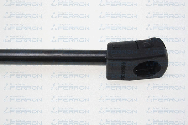 Gas Spring, boot/cargo area