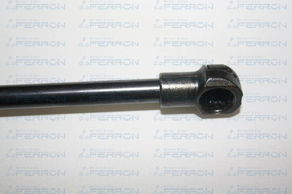 Gas Spring, boot/cargo area