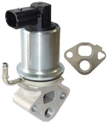 EGR Valve (TOP11450001)