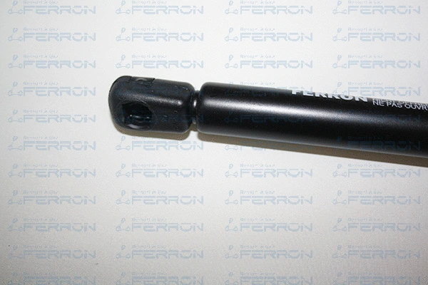 Gas Spring, boot/cargo area