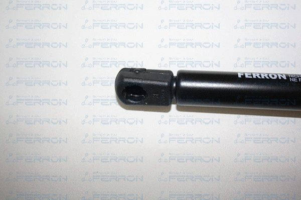 Gas Spring, boot/cargo area