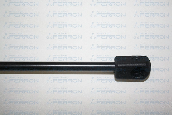Gas Spring, boot/cargo area
