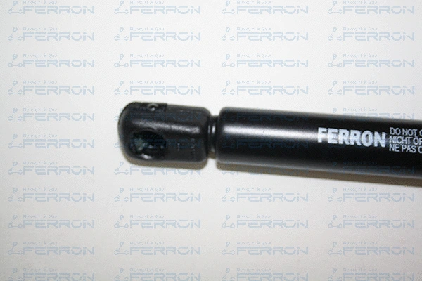 Gas Spring, boot/cargo area