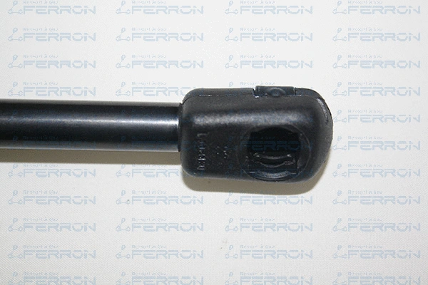 Gas Spring, boot/cargo area