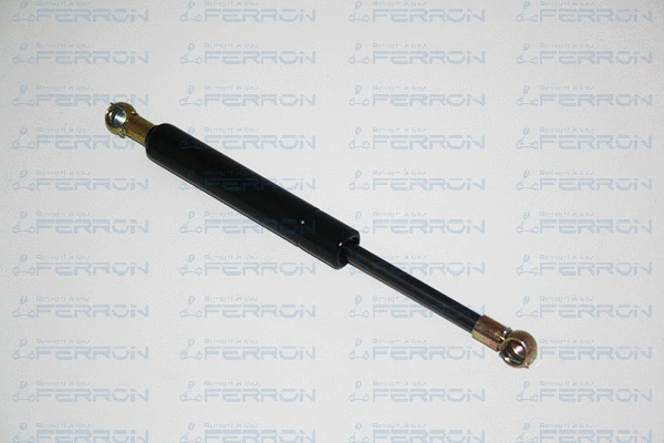 Gas Spring, boot/cargo area (314)