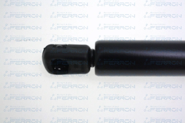 Gas Spring, boot/cargo area