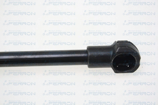 Gas Spring, boot/cargo area