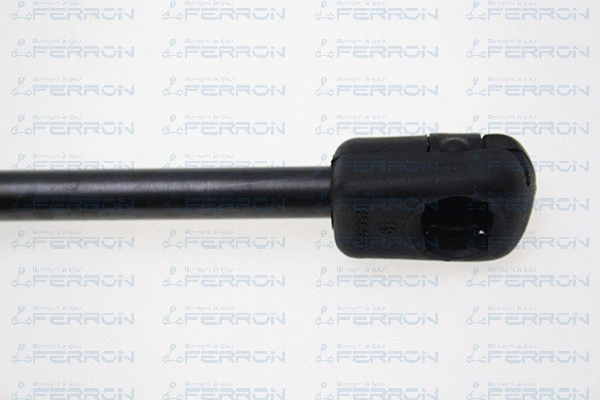 Gas Spring, bonnet (1592)