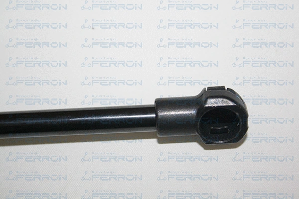 Gas Spring, boot/cargo area