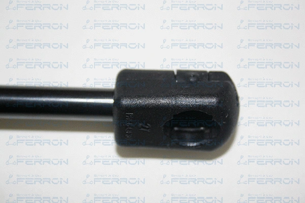 Gas Spring, boot/cargo area