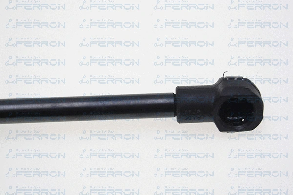 Gas Spring, boot/cargo area