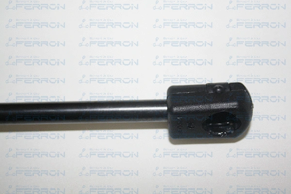 Gas Spring, boot/cargo area
