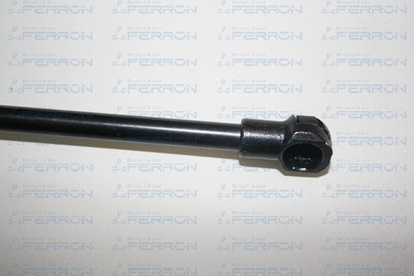 Gas Spring, boot/cargo area