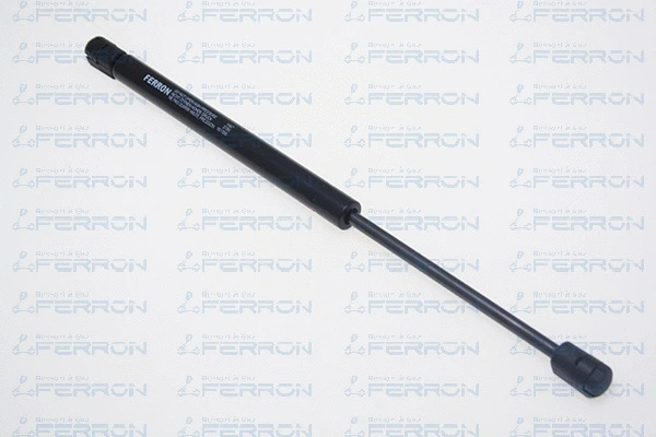 Gas Spring, boot/cargo area