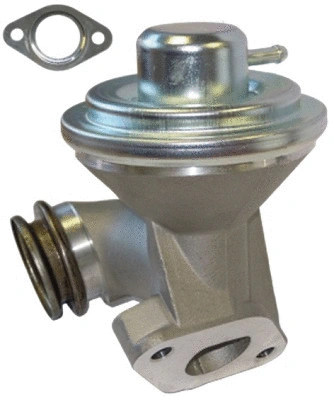 EGR Valve (TOP11450032)