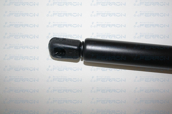 Gas Spring, boot/cargo area