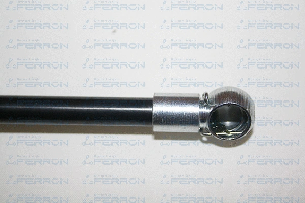 Gas Spring, boot/cargo area
