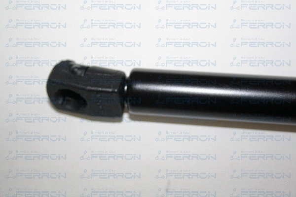 Gas Spring, boot/cargo area