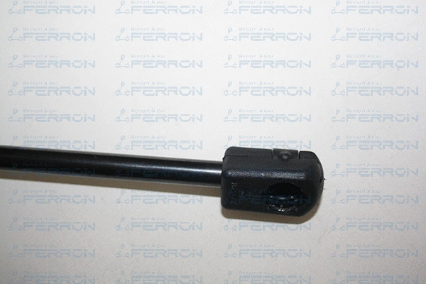 Gas Spring, boot/cargo area