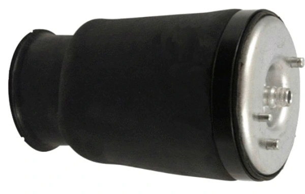 Air Spring, suspension (TOP35340008)