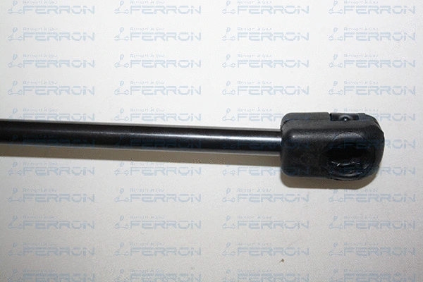 Gas Spring, boot/cargo area