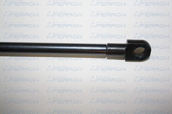 Gas Spring, boot/cargo area