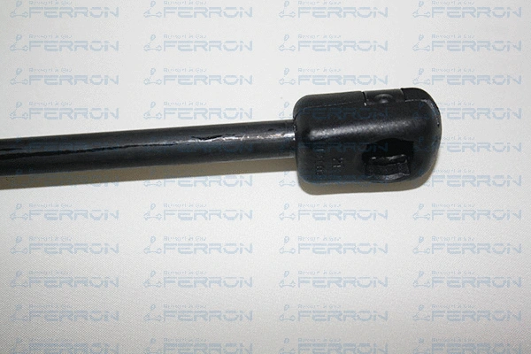 Gas Spring, boot/cargo area