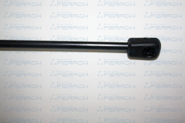 Gas Spring, boot/cargo area