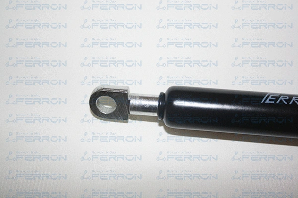 Gas Spring, boot/cargo area