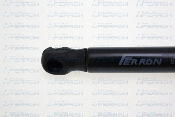 Gas Spring, bonnet