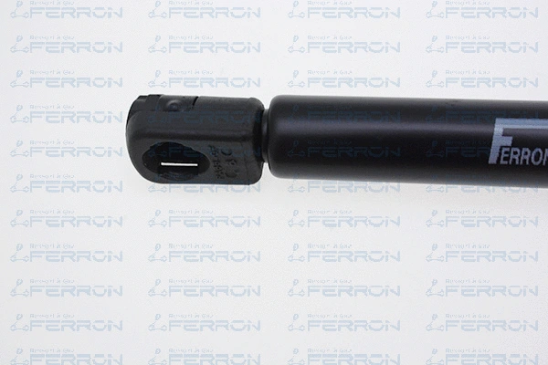 Gas Spring, boot/cargo area