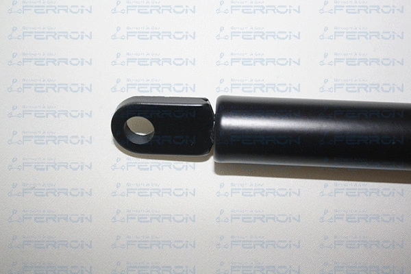 Gas Spring, bonnet