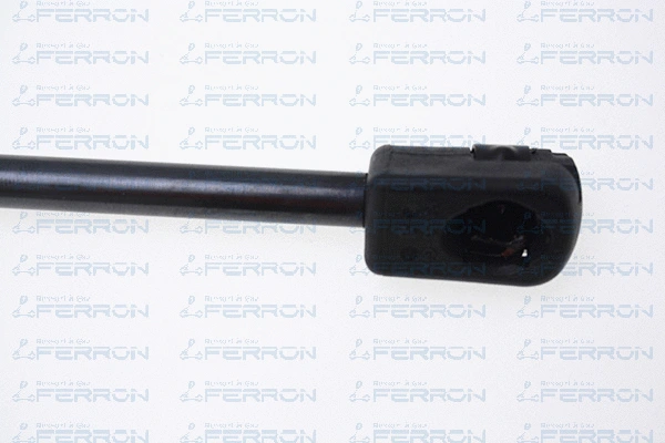 Gas Spring, boot/cargo area